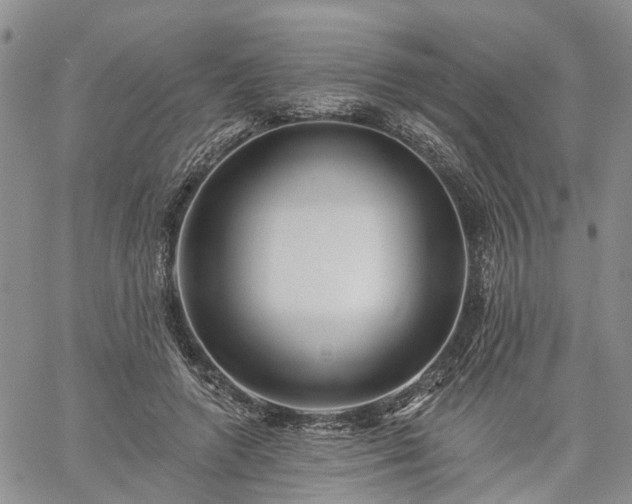 X0000061730546200512091548