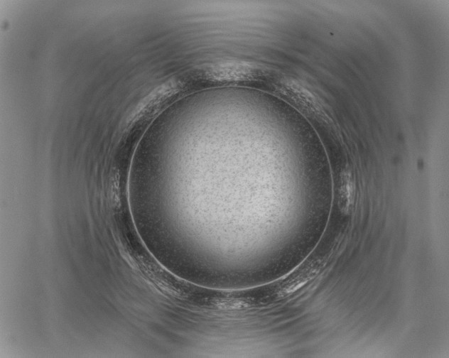 X0000061730547200512091548