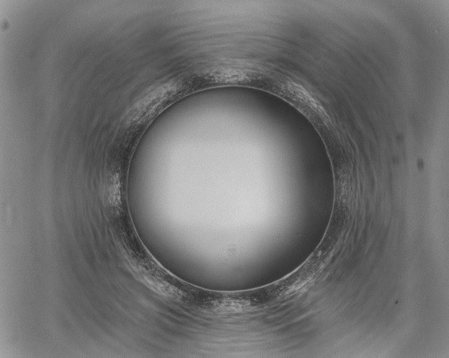 X0000061730549200512091548