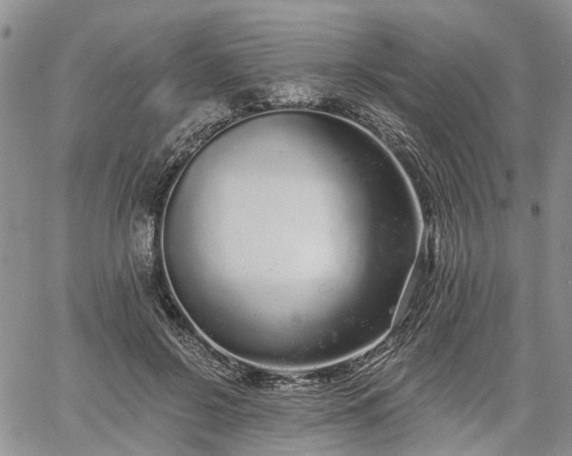 X0000061730550200512091548