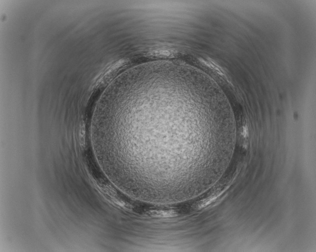 X0000061730552200512091548