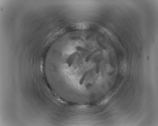 X0000061730553200512091548