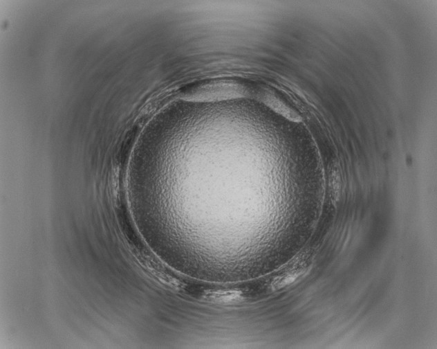 X0000061730554200512091548