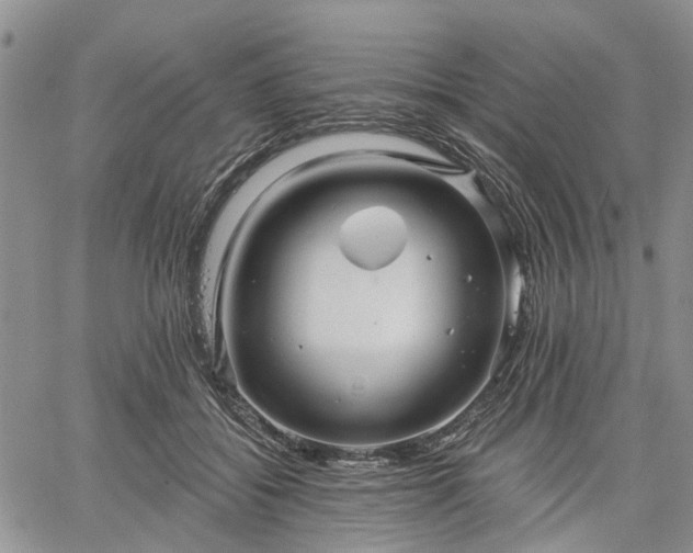 X0000061730556200512091548