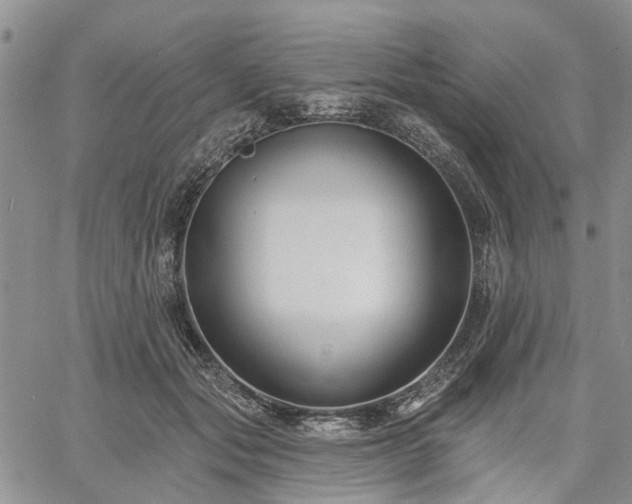 X0000061730557200512091548