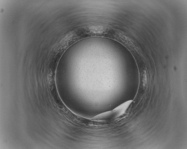 X0000061730559200512091548