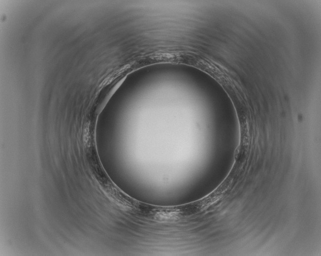 X0000061730560200512091548