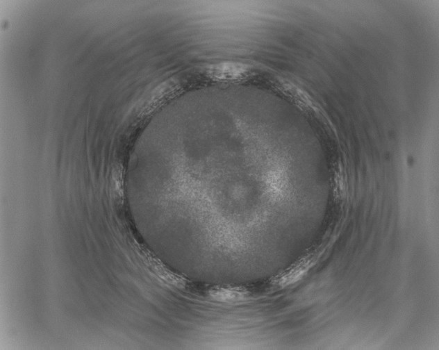 X0000061730561200512091548