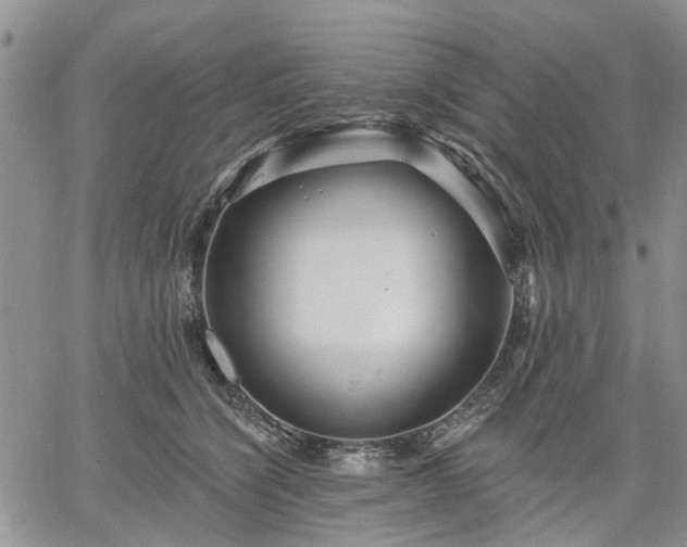 X0000061730564200512091548