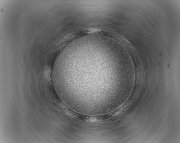 X0000061730565200512091548