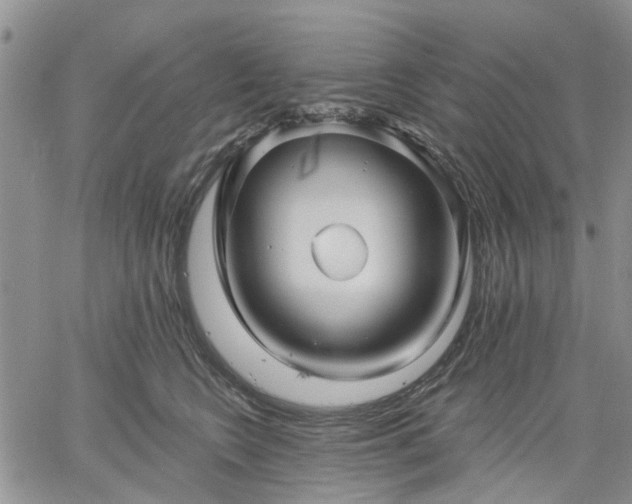 X0000061730566200512091548