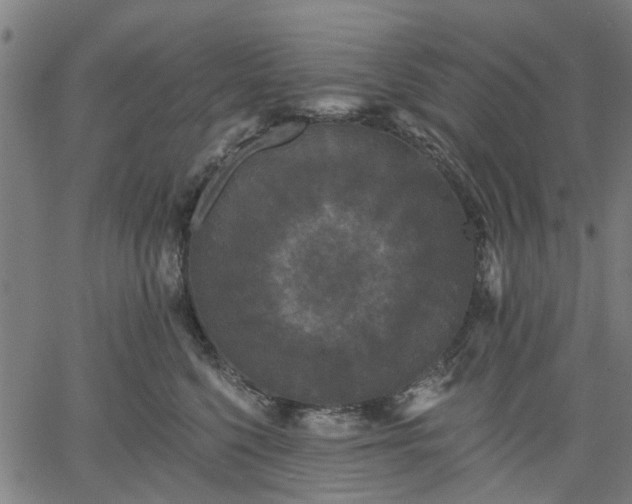 X0000061730568200512091548