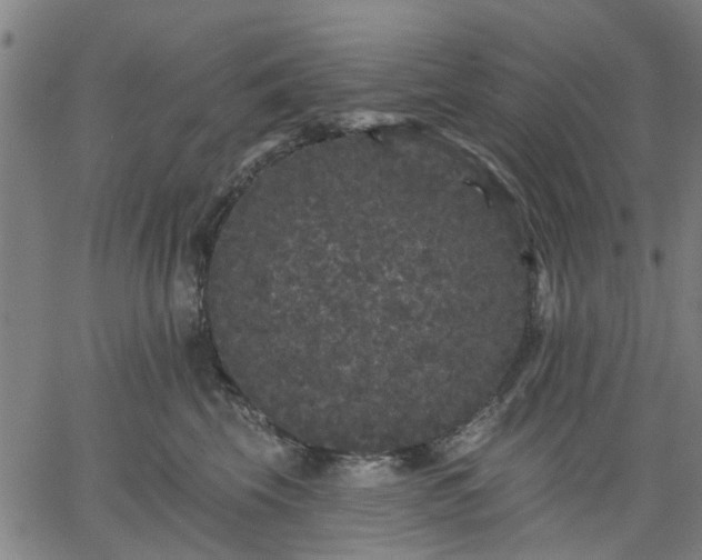 X0000061730569200512091548