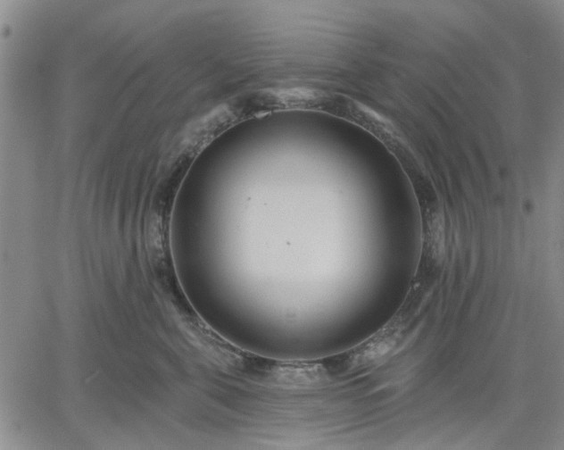 X0000061730571200512091548