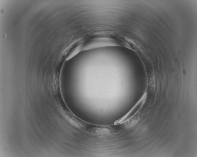 X0000061730572200512091548