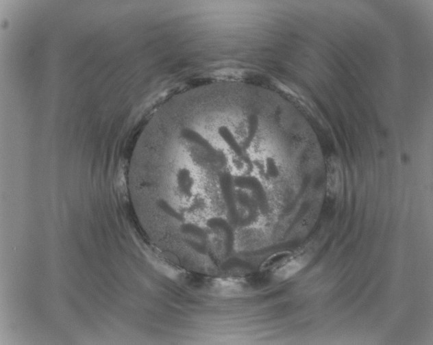 X0000061730573200512091548