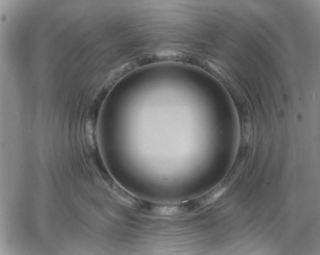 X0000061730575200512091548