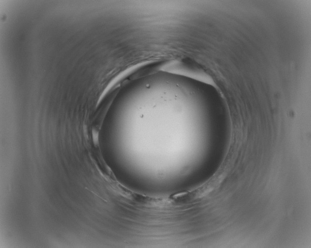 X0000061730576200512091548