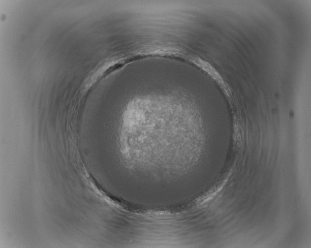 X0000061730577200512091547