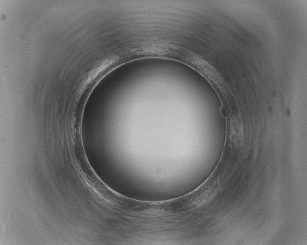 X0000061730578200512091547