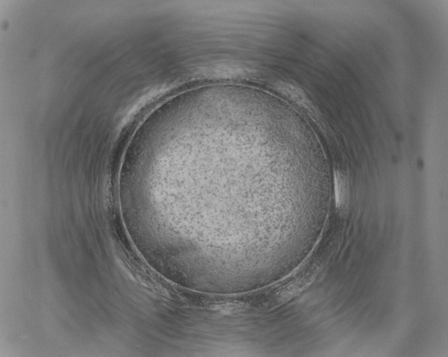 X0000061730579200512091547