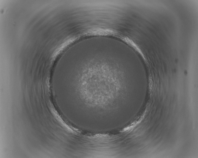 X0000061730581200512091547