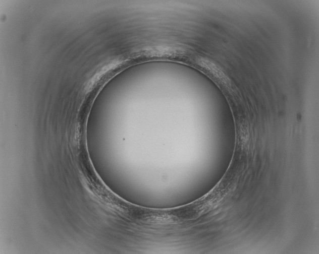 X0000061730583200512091547