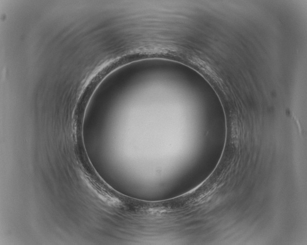 X0000061730584200512091547