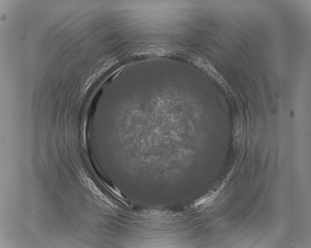 X0000061730585200512091547