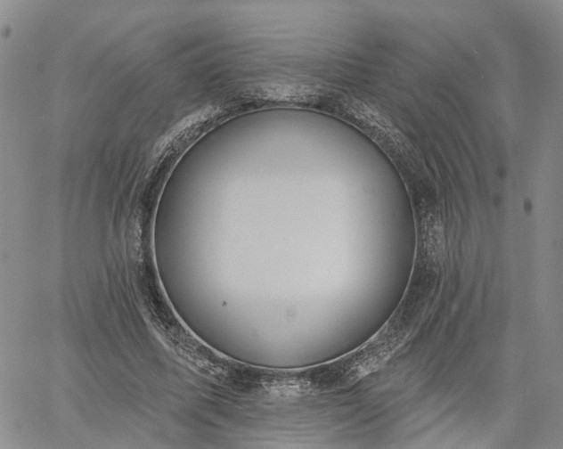 X0000061730587200512091547