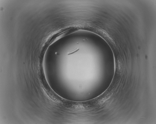 X0000061730588200512091547