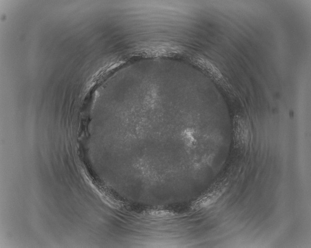 X0000061730590200512091547