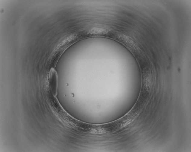 X0000061730591200512091547