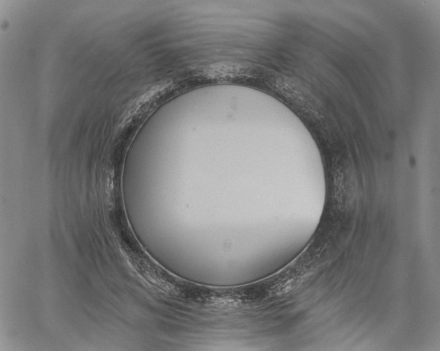 X0000061730592200512091547