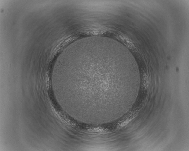 X0000061730594200512091547