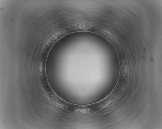 X0000061730595200512091547