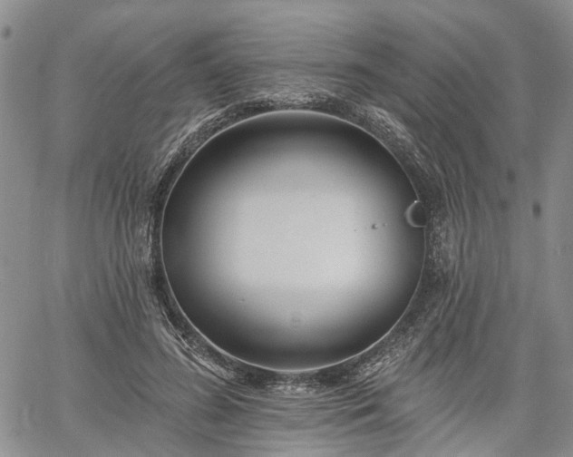 X0000061730596200512091547