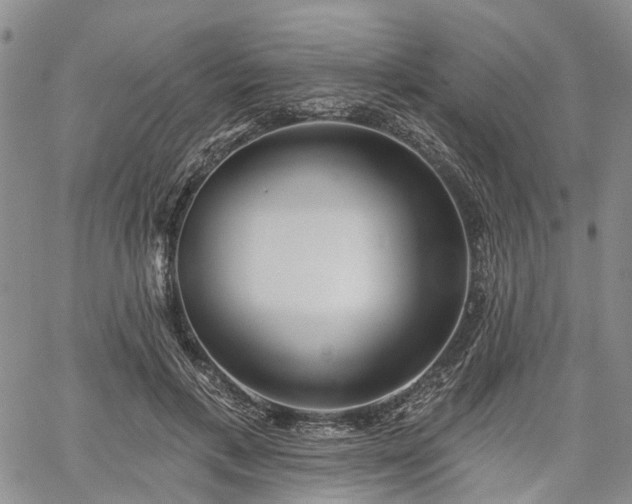 X0000061730597200512091547