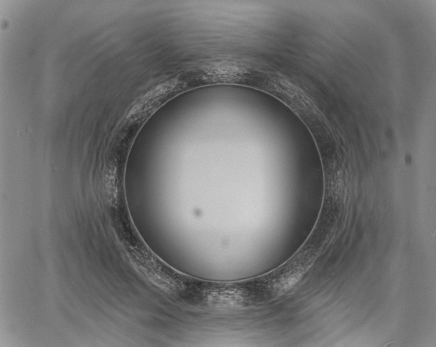 X0000061730599200512091547