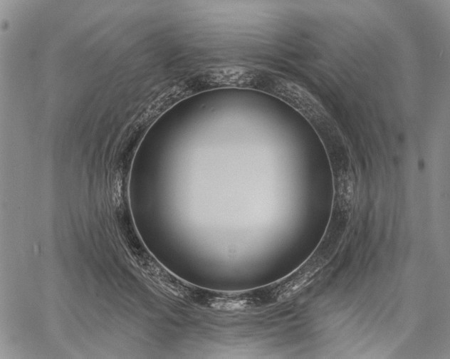 X0000061730602200512091547