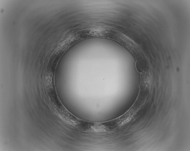 X0000061730603200512091547