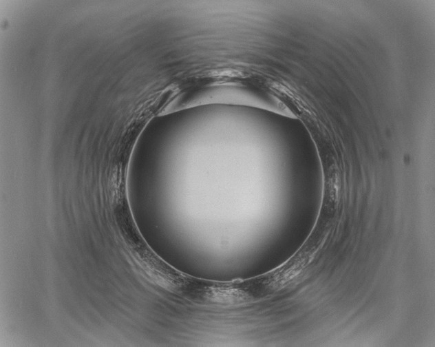 X0000061730605200512091547