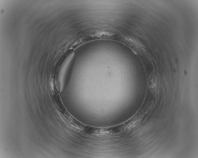 X0000061730607200512091547