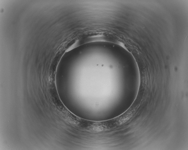 X0000061730608200512091547