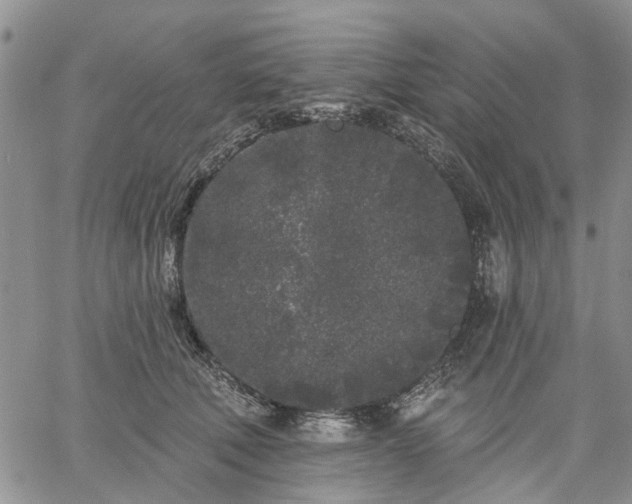 X0000061730610200512091547