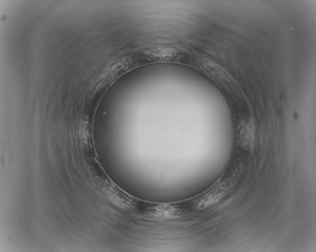 X0000061730612200512091547