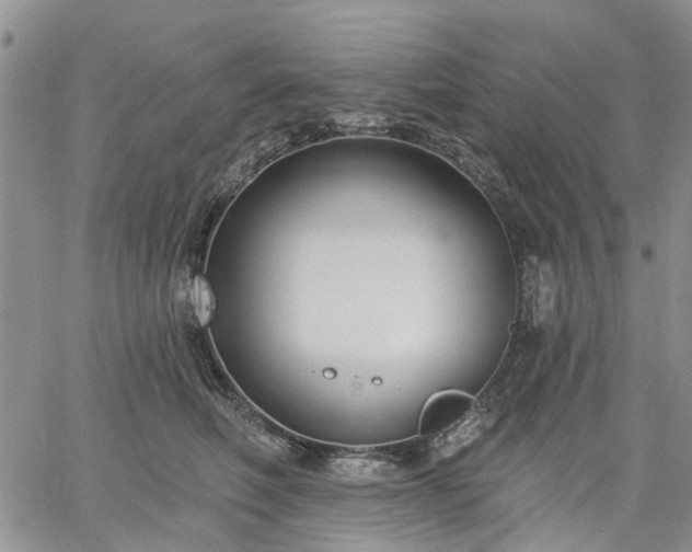 X0000061730614200512091547