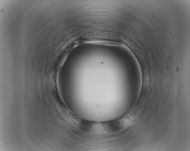 X0000061730616200512091547