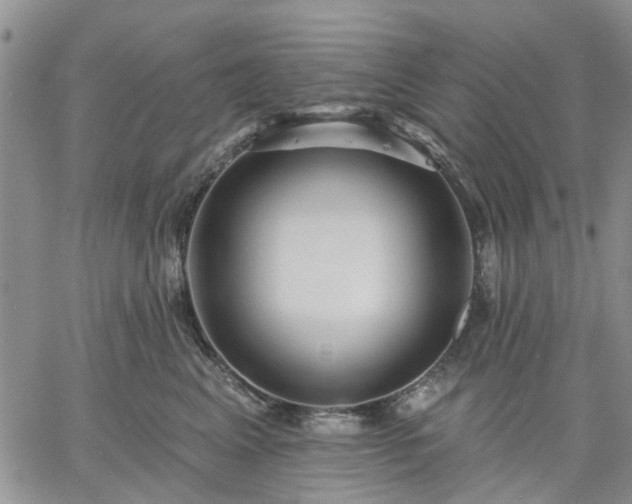 X0000061730617200512091547