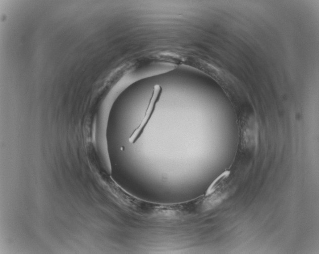 X0000061730620200512091547